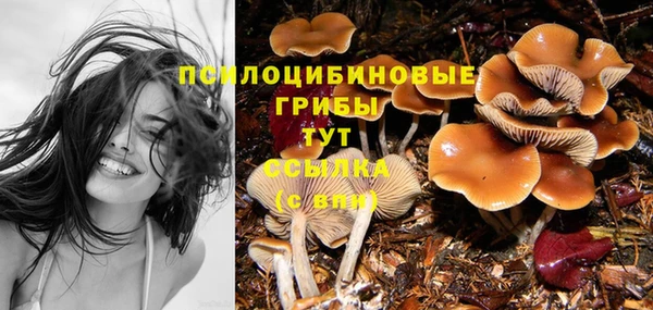 дурь Медногорск