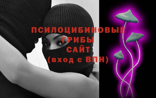 мяу мяу мука Магас